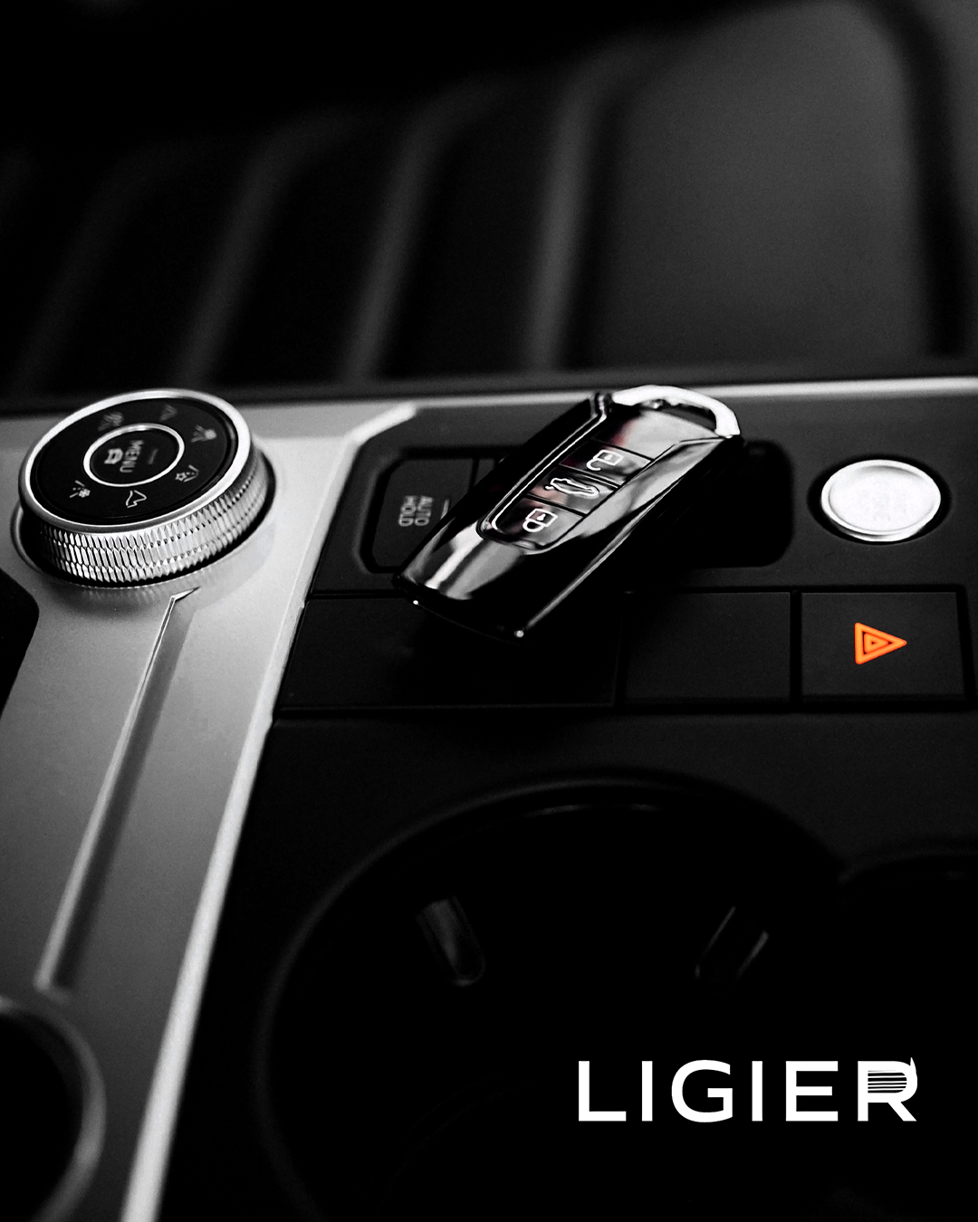 Ligier interior application